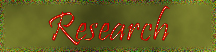 WS06
